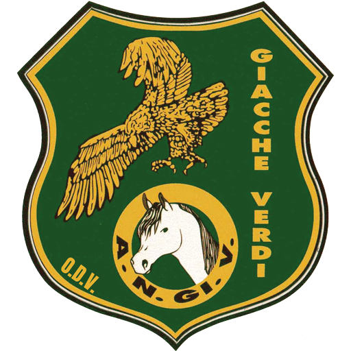 Logo Giacche Verdi