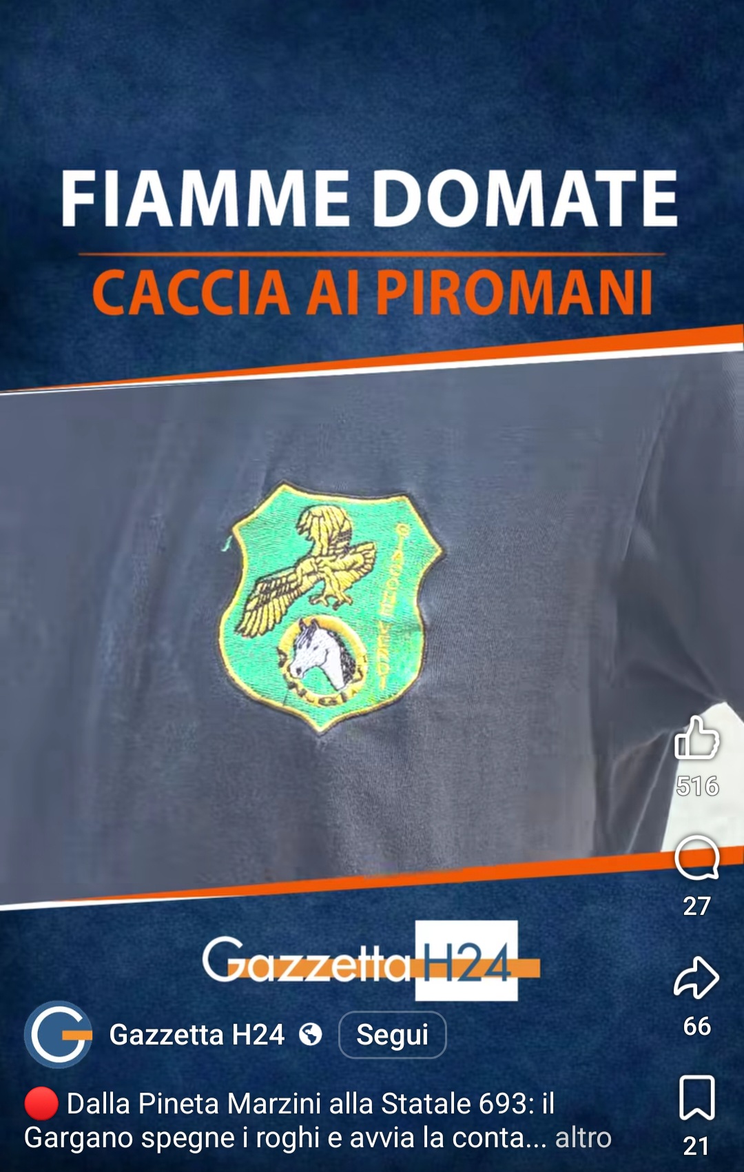 Le Giacche Verdi in prima linea contro gli incendi del Gargano